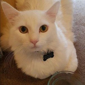 just a statement about me in regards of offers